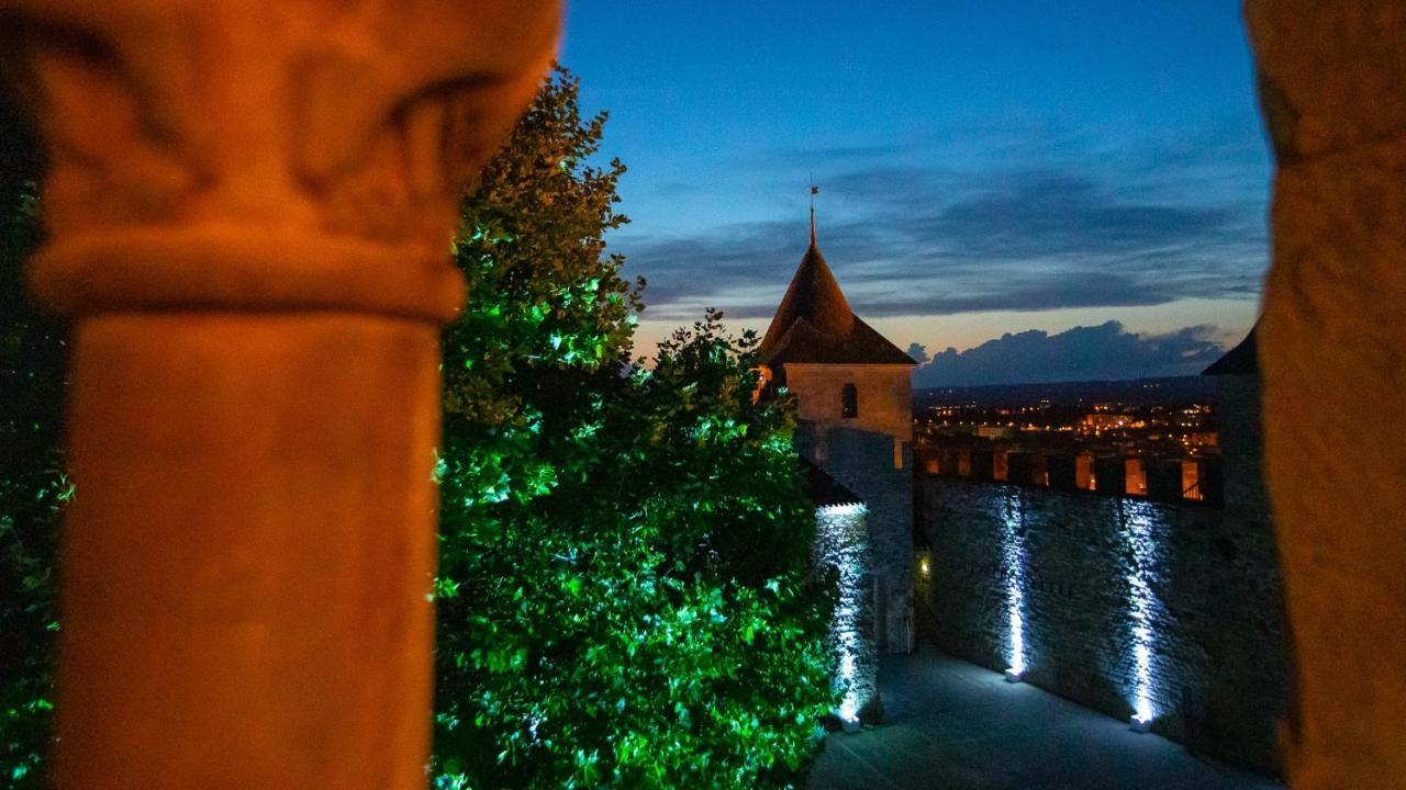 Tout Confort ! Calme, Climatisation, Piscine, Parking Gratuit, Grande Terrasse, Netflix, Wifi Каркасон Екстериор снимка